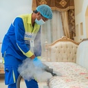 Sofa Cleaning