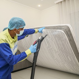 [MC] Mattress Cleaning