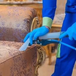 [SOC] Sofa Cleaning