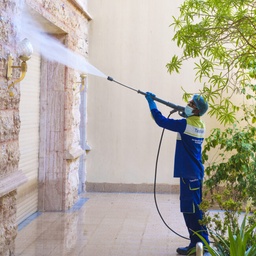 [PWC] Pressure washer cleaning