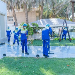 [YC] Yard Cleaning